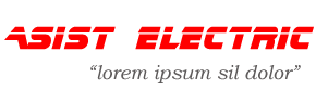 Asist Electric